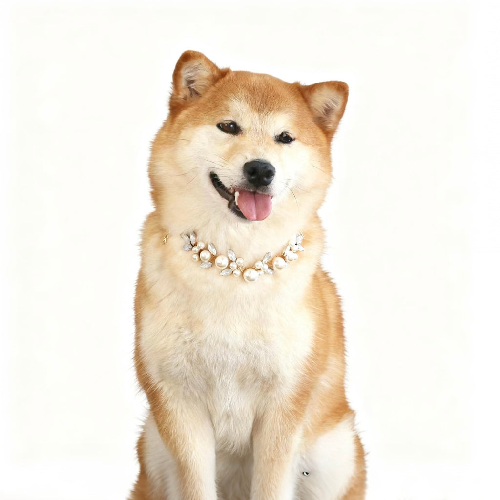 Pet Necklace_6