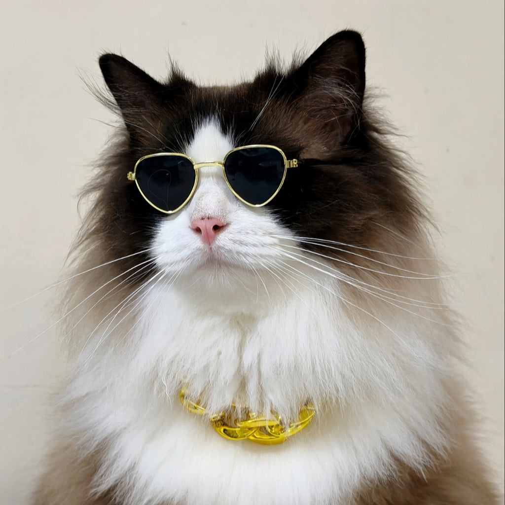 Pet Sunglasses