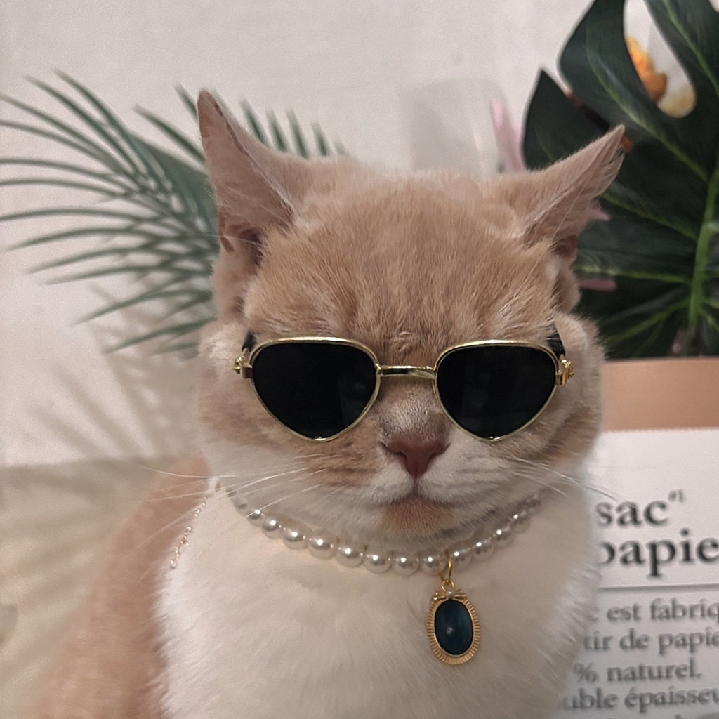 Pet Sunglasses