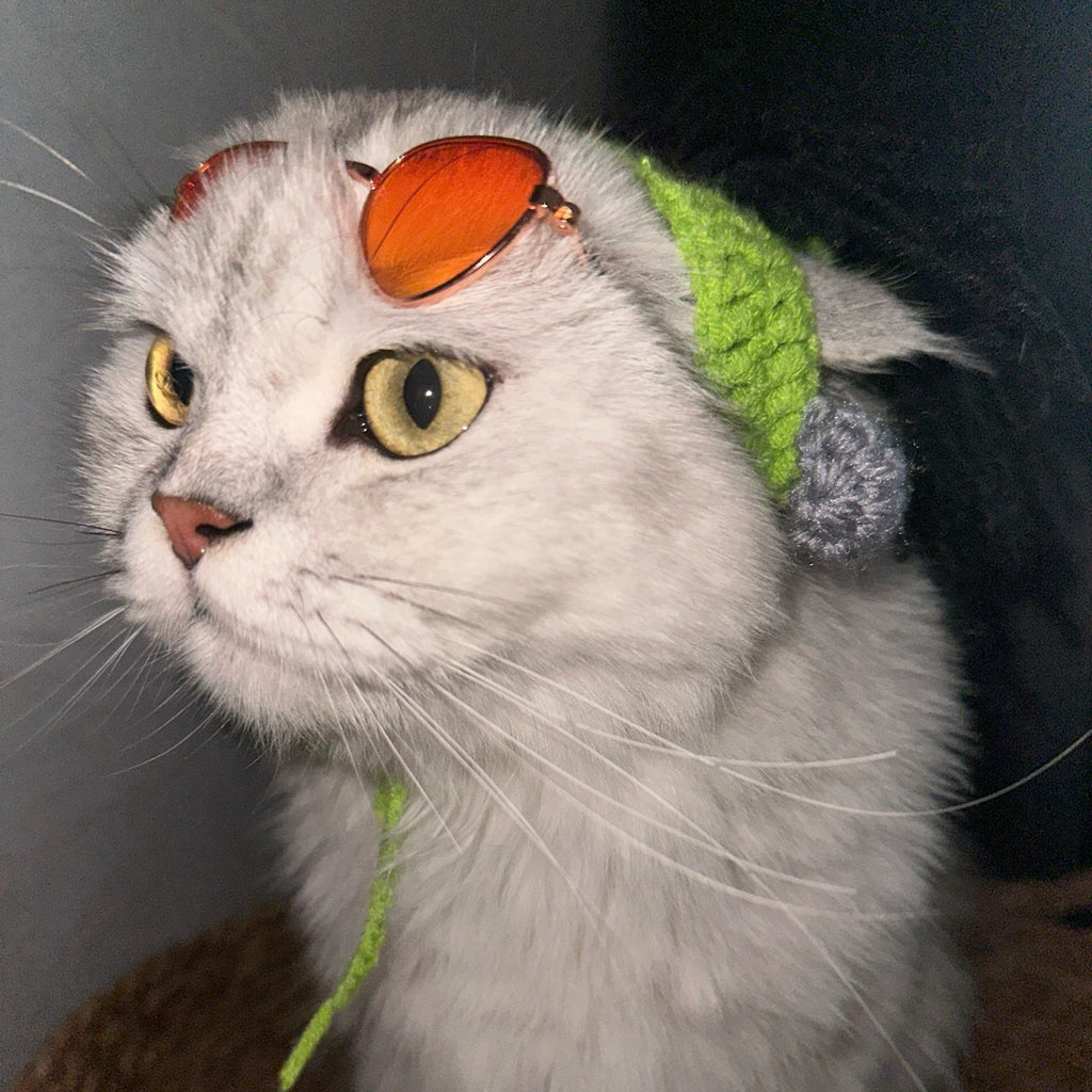 Pet Sunglasses
