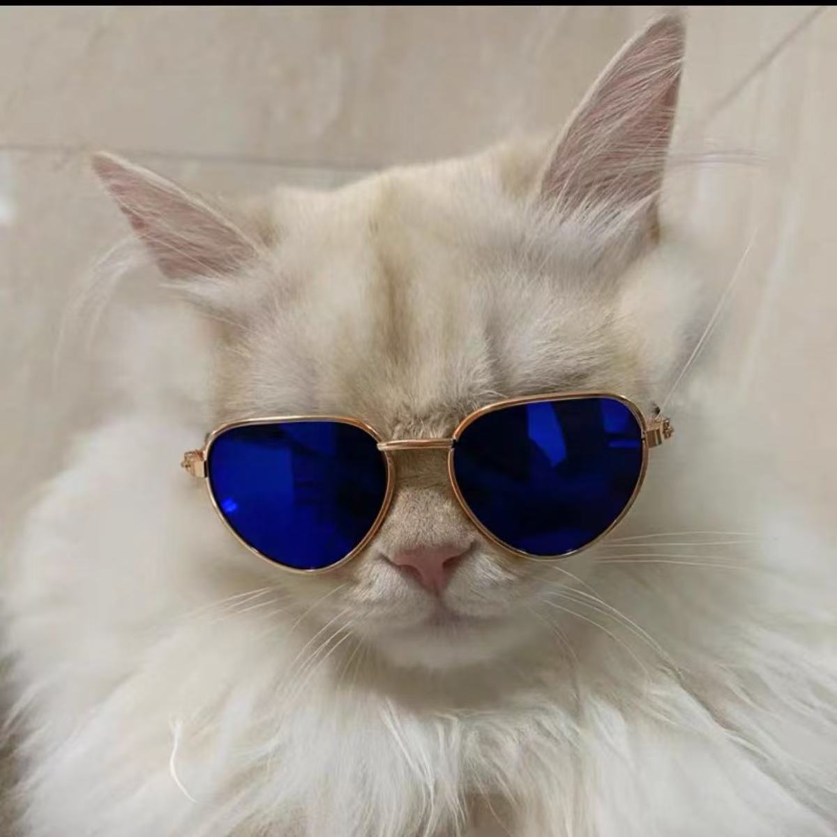 Pet Sunglasses