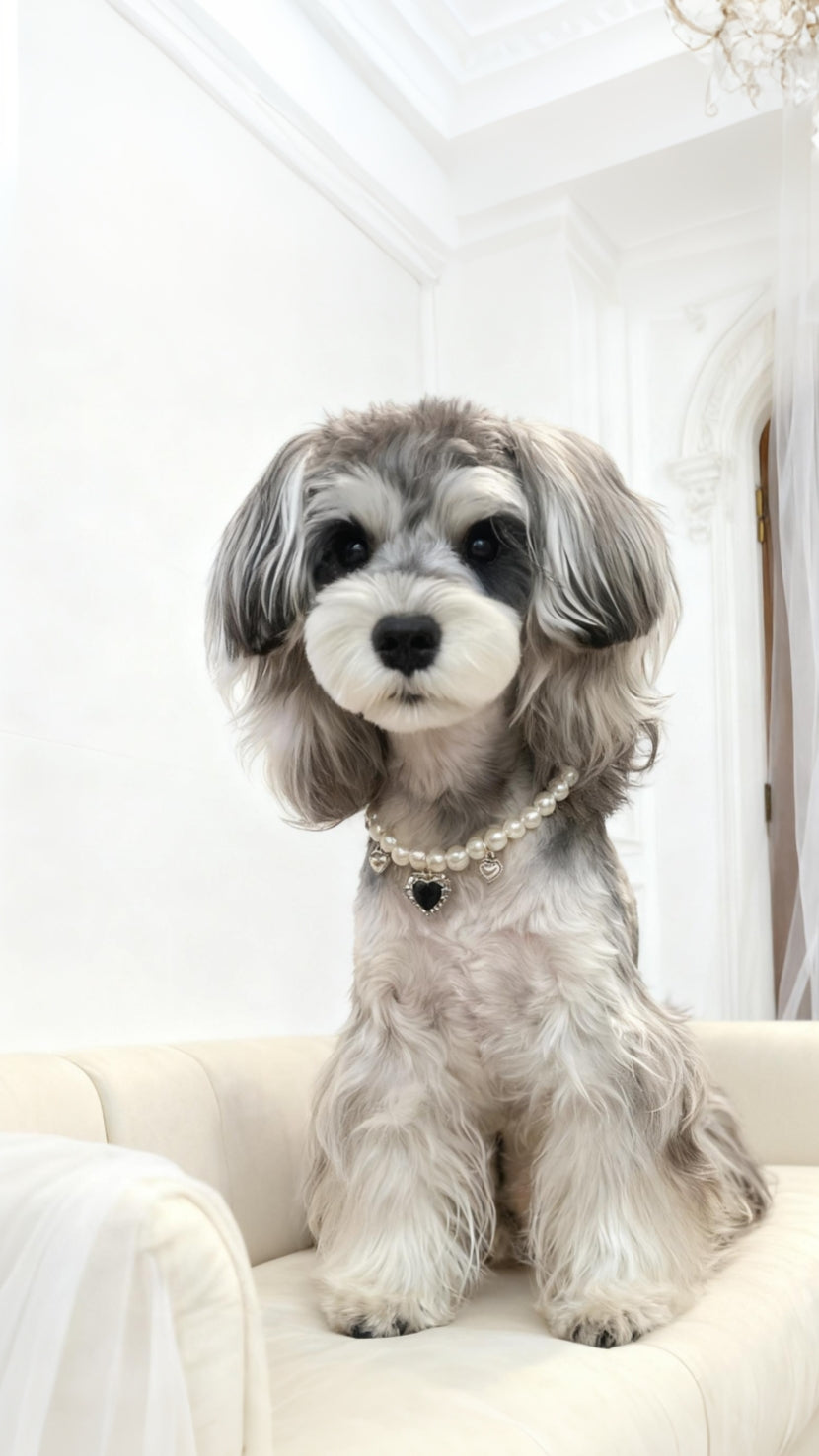 Pet Necklace_2